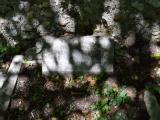 image of grave number 689711